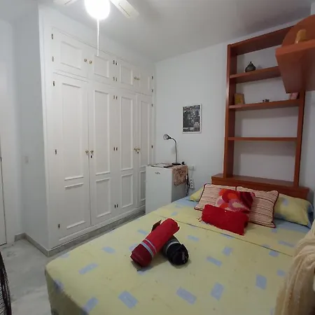 Acogedora En * 托雷莫利诺斯